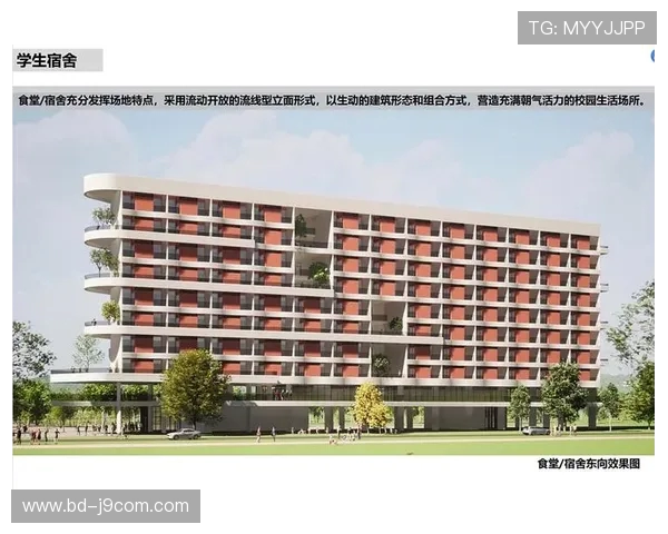 围绕洋县足球场草皮建设与养护升级推动体育设施高质量发展的研究